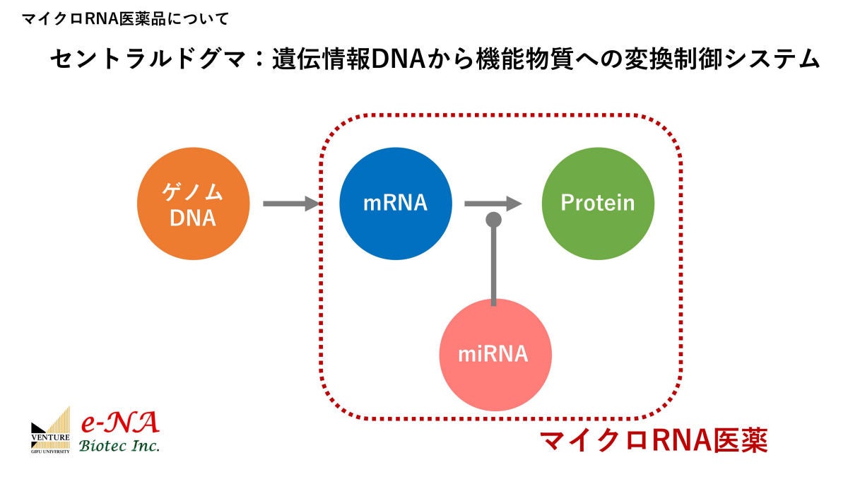 e-NA Biotec