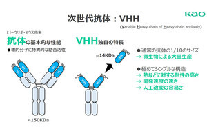 花王と北里大、新型コロナ向け経鼻投与治療薬の実現に前進