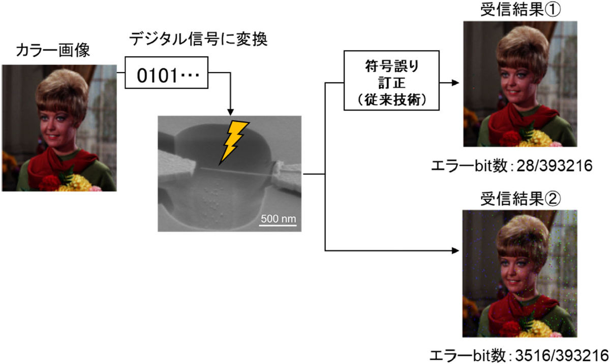 カーボンナノチューブ