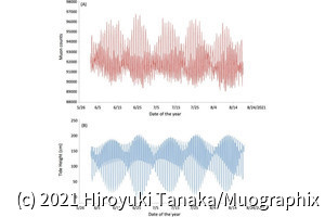 東京湾アクアラインのミュオグラフィセンサー、世界最高クラスの観測精度を達成