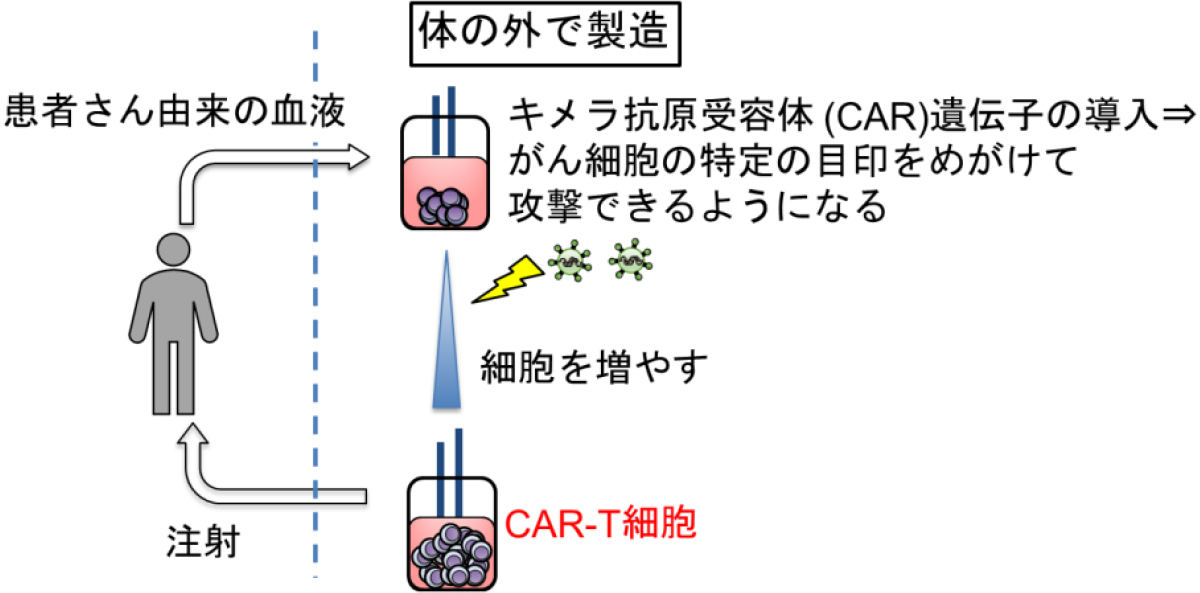 免疫療法