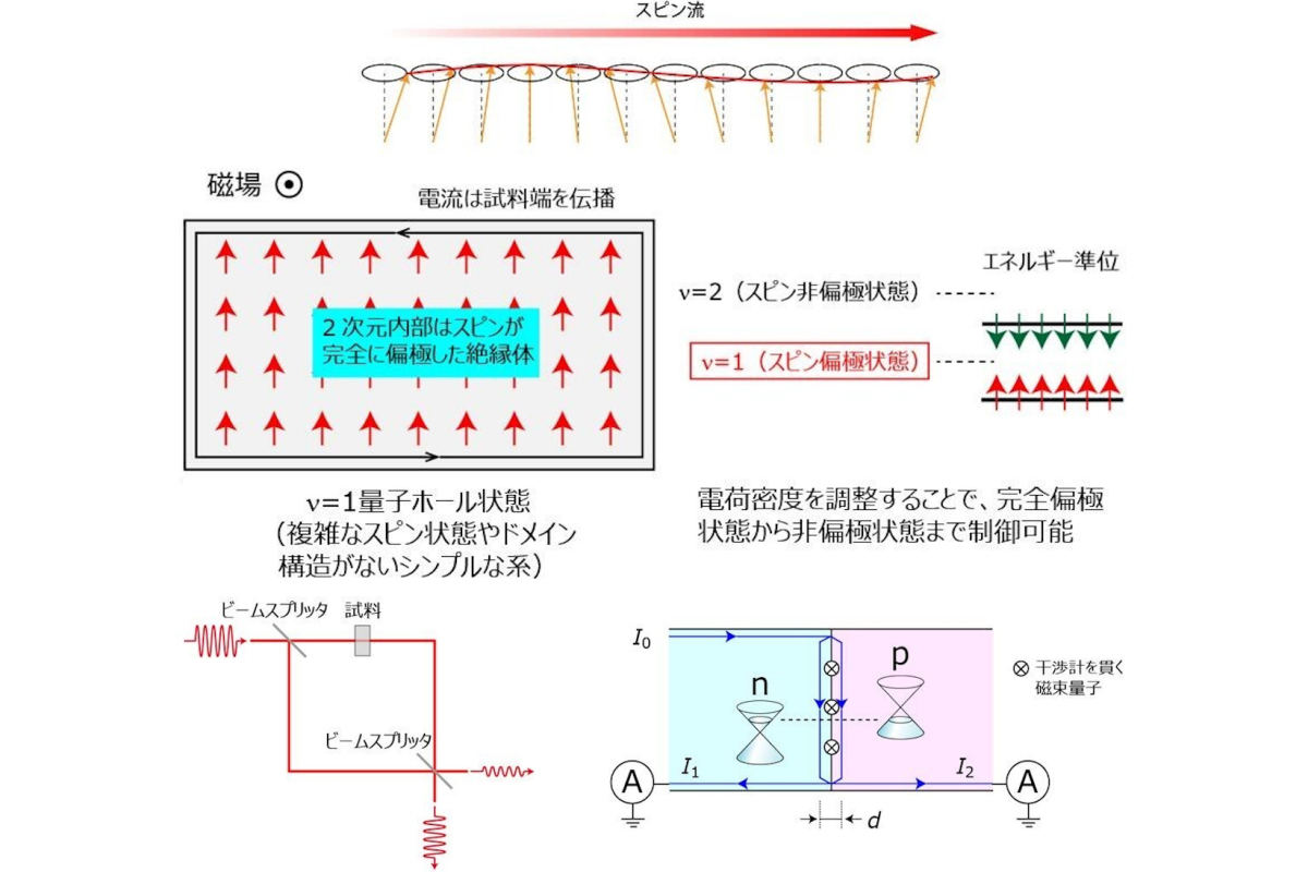 マグノニクス