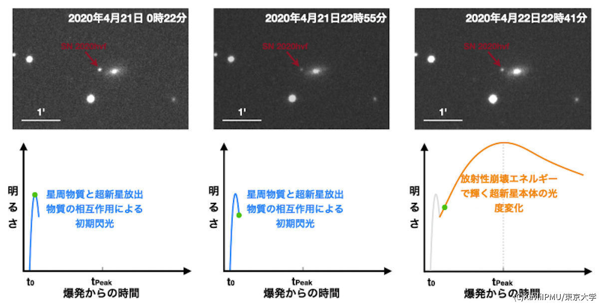 Ia型超新星