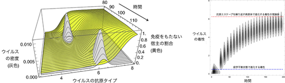 免疫系