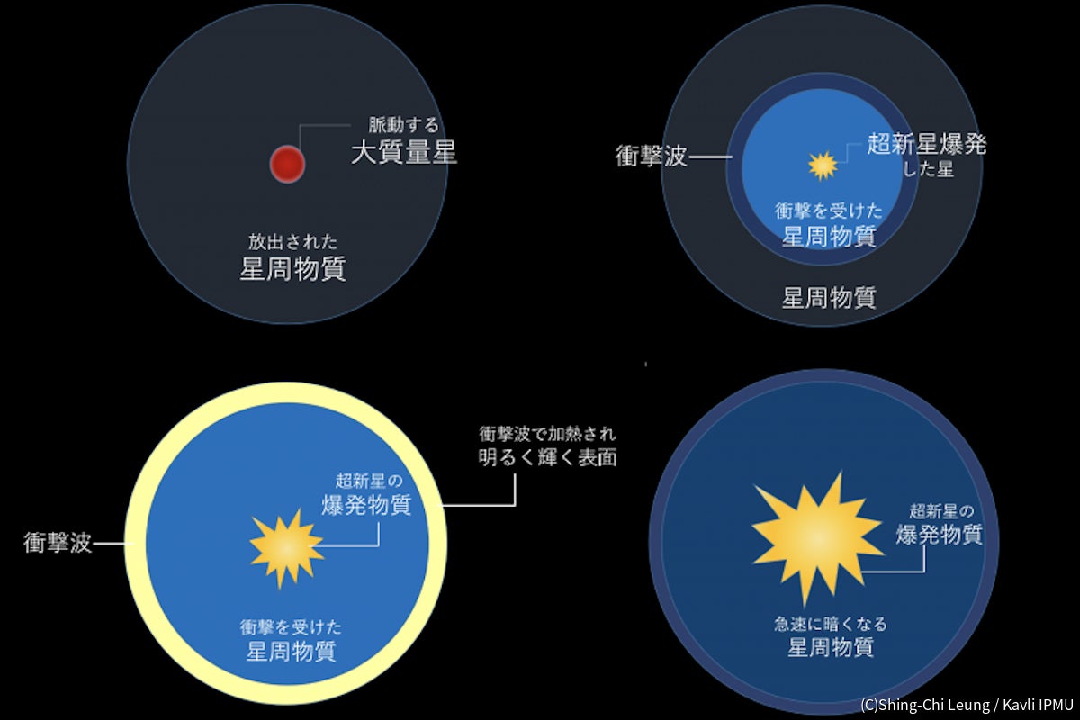 急に明るくなり高輝度で輝く新型超新星の爆発メカニズム、Kavli 