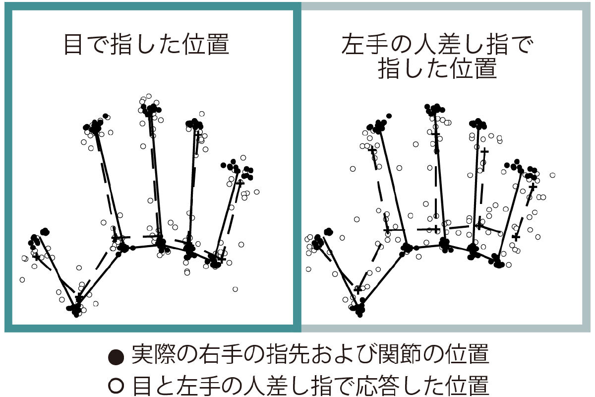 心の中の身体