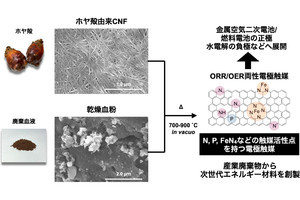 東北大など、海洋・畜産廃棄物から電池用高性能触媒「ナノ血炭」の合成に成功