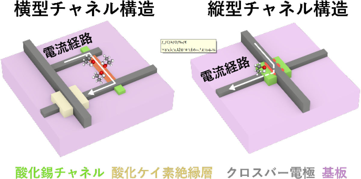 分子センサ