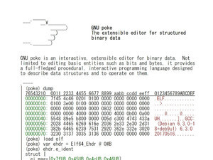 約1年ぶりのメージャーバージョンアップ、バイナリーエディター「GNU poke v2.0」