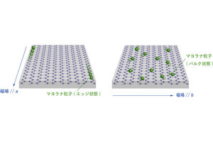 東大など、キタエフ模型を実現する候補物質で「マヨラナ粒子」の観測に成功