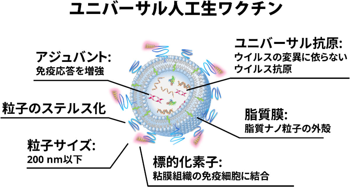 新型コロナ
