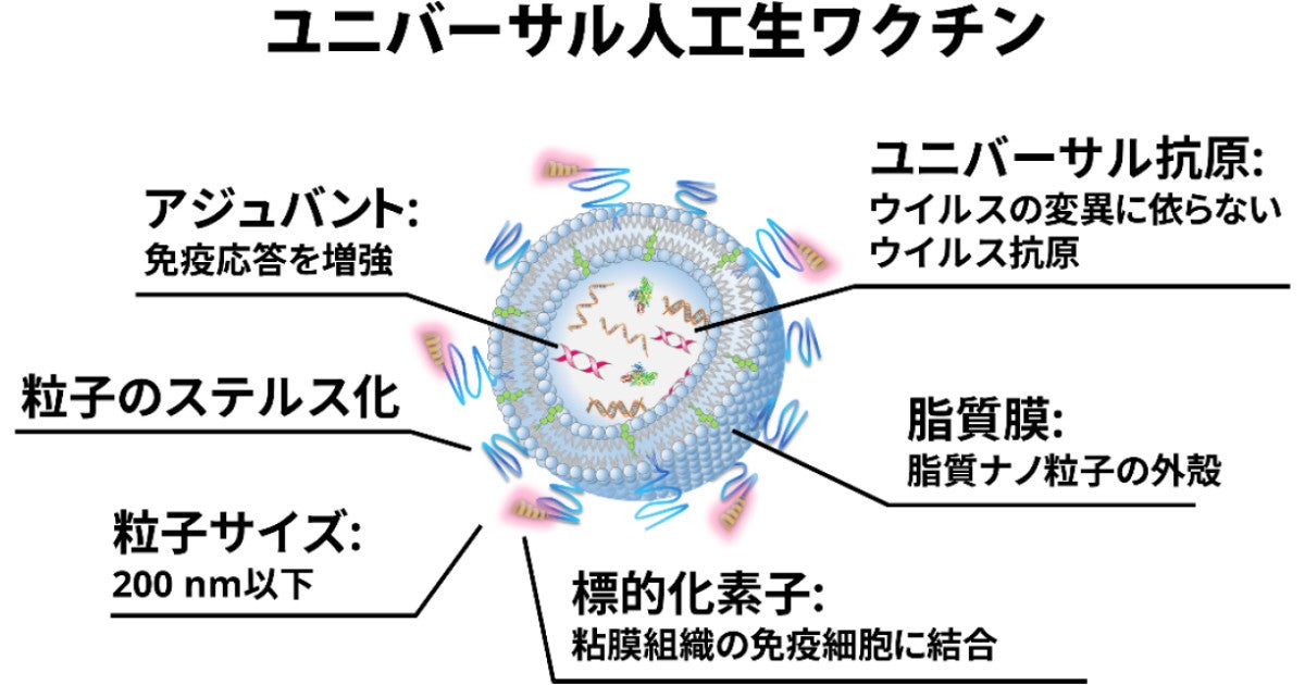 北大、新型コロナなどのパンデミック呼吸器感染症向け治療戦略の総説論文を発表 | TECH+（テックプラス）