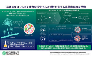 新型コロナなど複数ウイルスに活性を示す複数の化合物の合成法を理科大などが開発