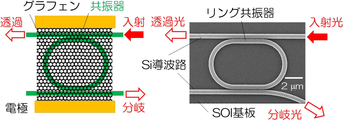 シリコンフォトニクス