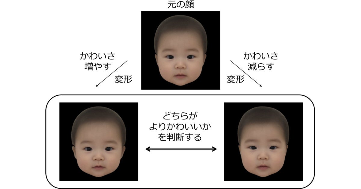 かわいいと思われやすい赤ちゃんの顔画像 物理的特徴を操作して阪大が作成 Tech テックプラス