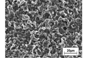 東工大など、900℃で機能する核融合炉向け「液体ブランケット」用液体金属を開発