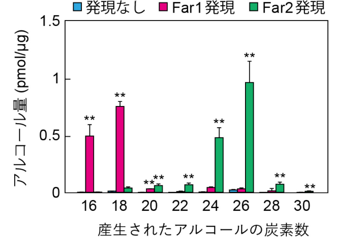 ドライアイ