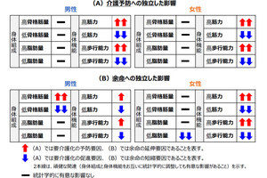 男性は骨格筋量、女性は脂肪量が筋力や歩行能力とは別に余命に影響することが判明