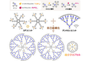 東工大、直径1～3nmという「準サブナノサイズ」の物質を合成することに成功