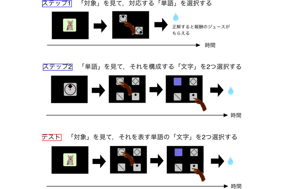 サルによる言語理解