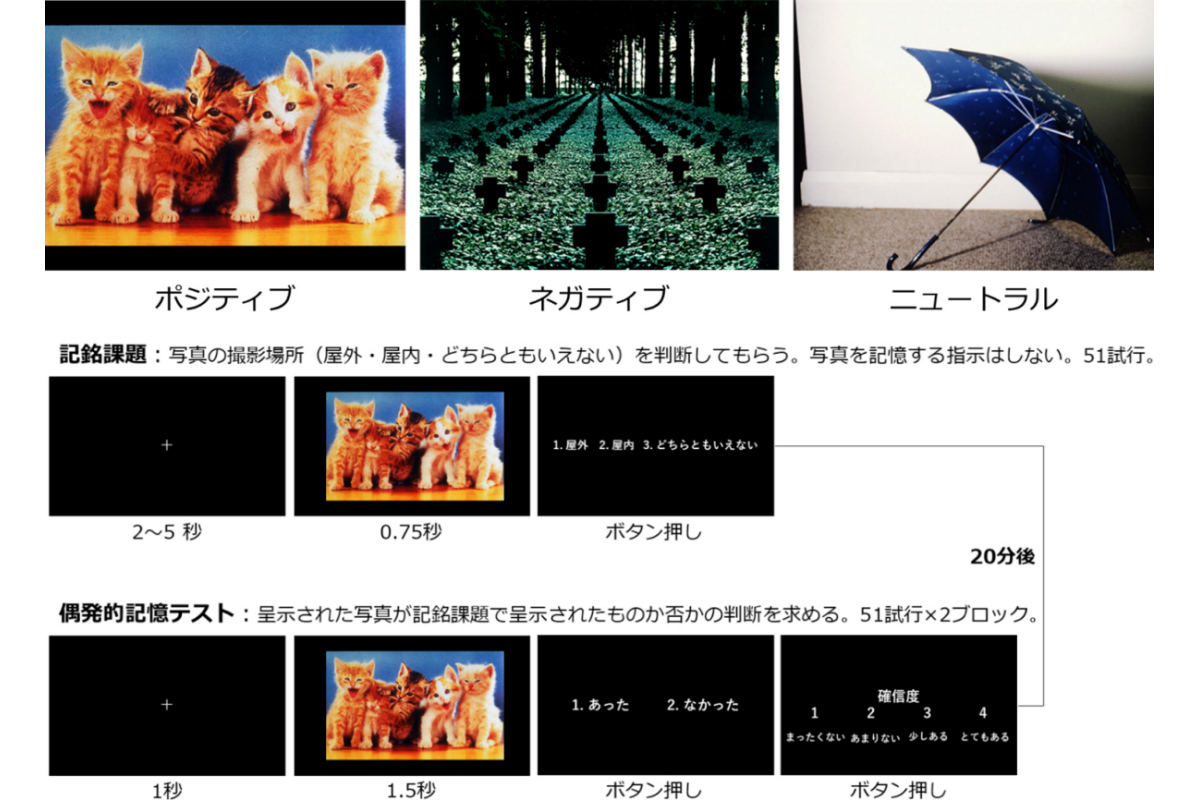 記憶テストのデザイン