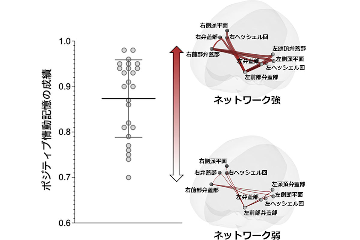 ポジティブ画像の記憶成績の個人差と関連する脳機能ネットワーク