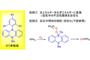 空気中の酸素と白色光で酸化反応を促進するホウ素光触媒、茨城大が開発