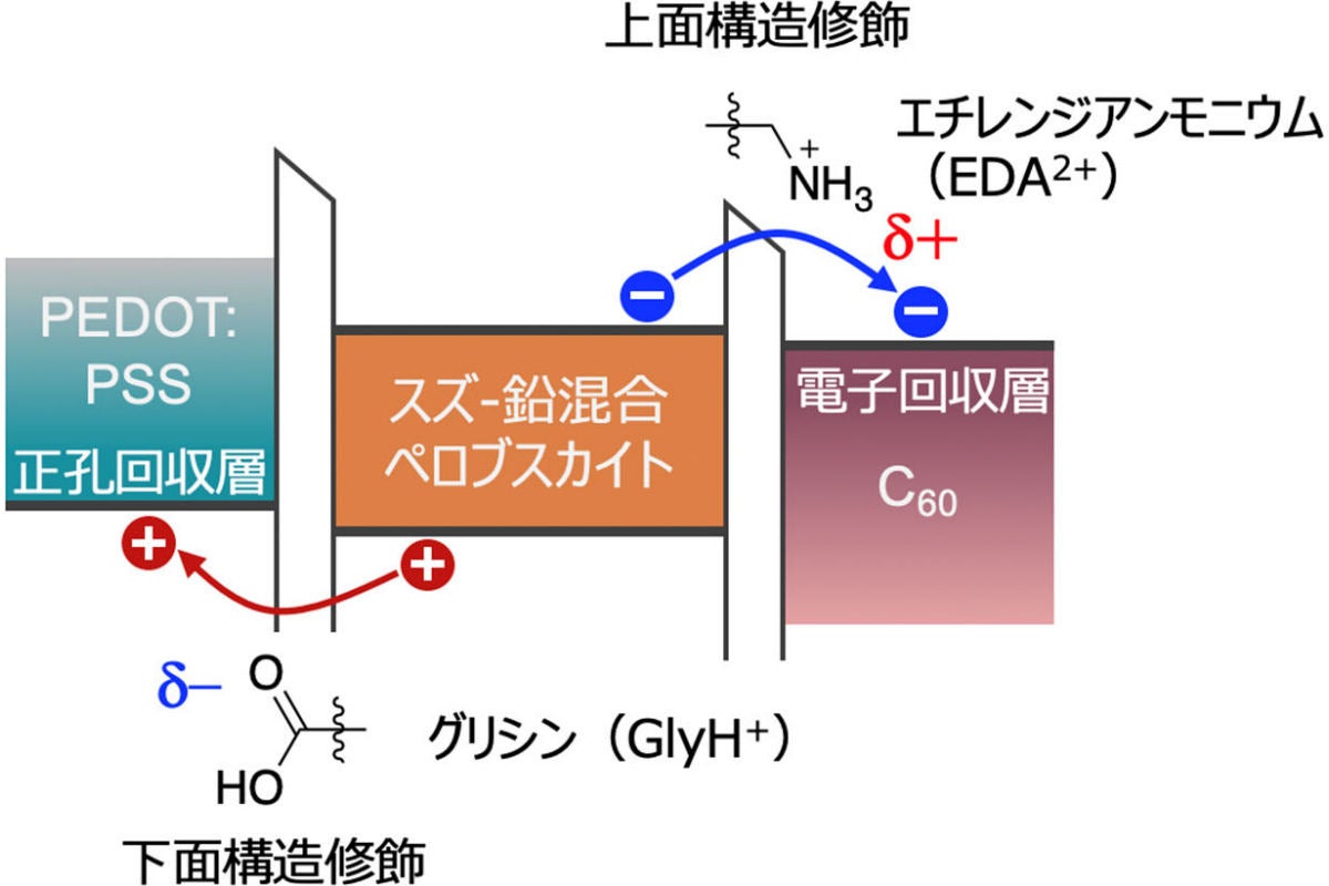 電荷の取り出し効率の向上のメカニズム