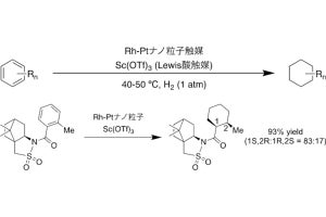 東大、芳香環類の水素化反応を従来の約30倍に加速する協調触媒系を開発