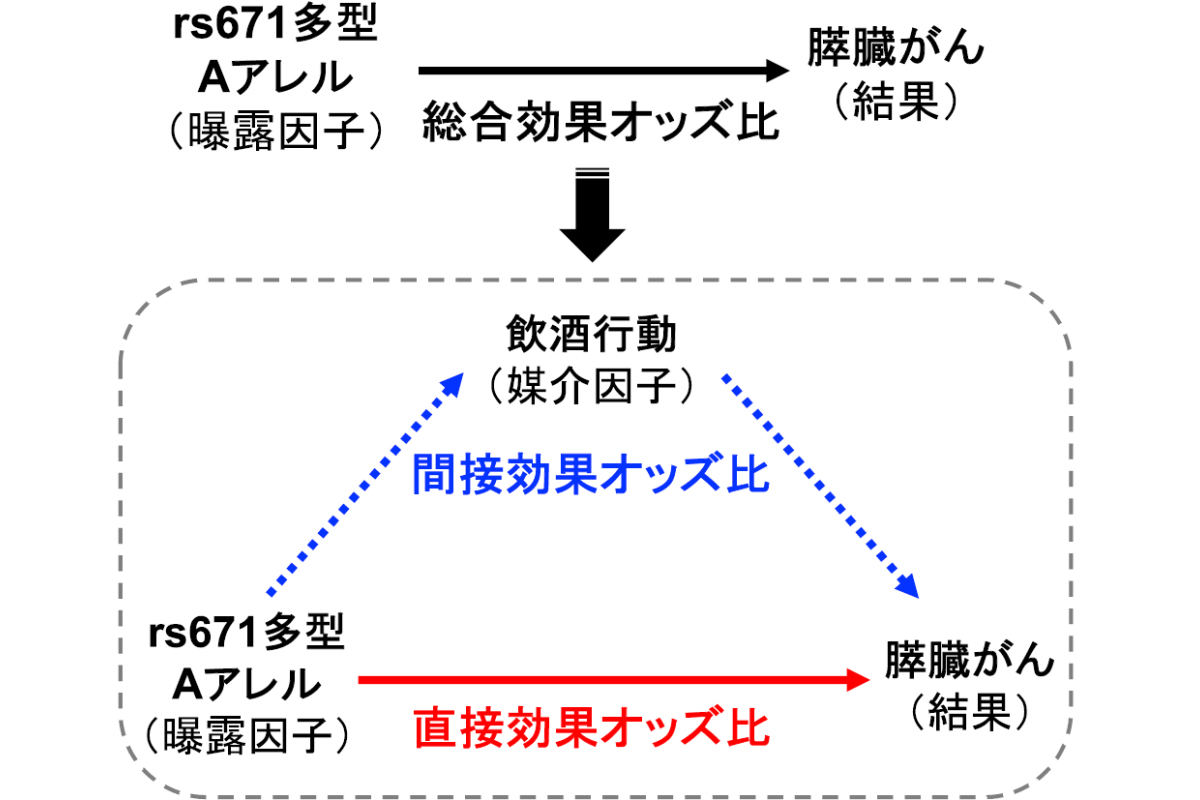 膵臓がん