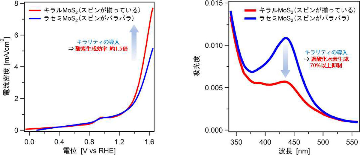 酸素生成効率が約1.5倍に向上することを確認