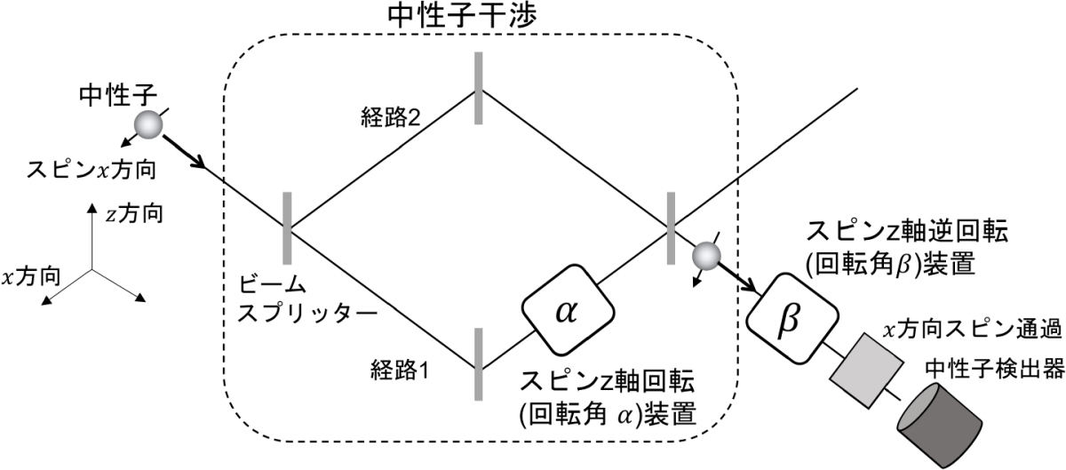 実験の概要図