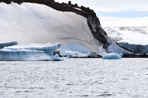 【気候変動】氷河上に生息する菌類の絶滅の恐れ　国立極地研究所ら
