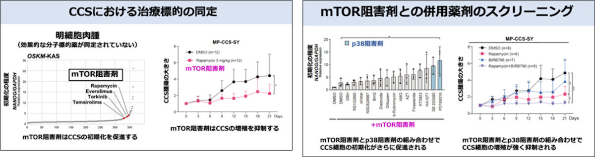 細胞初期化抵抗性を応用したスクリーニングにより、mTOR阻害剤がCCSの増殖を抑制することが同定された