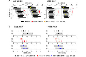 ヒトの睡眠覚醒リズムは食事の時間に同調することを北大が発見