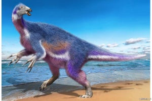 北海道で見つかった新種の恐竜化石、「パラリテリジノサウルス・ジャポニクス」と命名