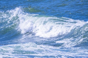 “海の砂漠”とも呼ばれる東部インド洋でプランクトンが増加する仕組みが判明