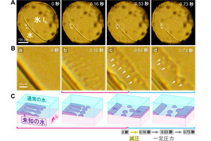 普通の氷と水の界面に2種類目となる未知の水、東北大などが発見