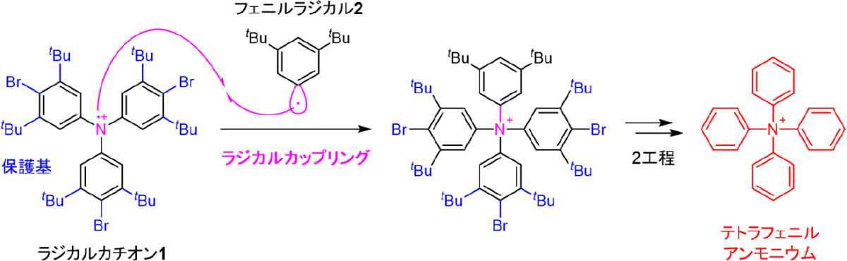 ラジカルカップリングを利用したテトラフェニルアンモニウムの合成戦略