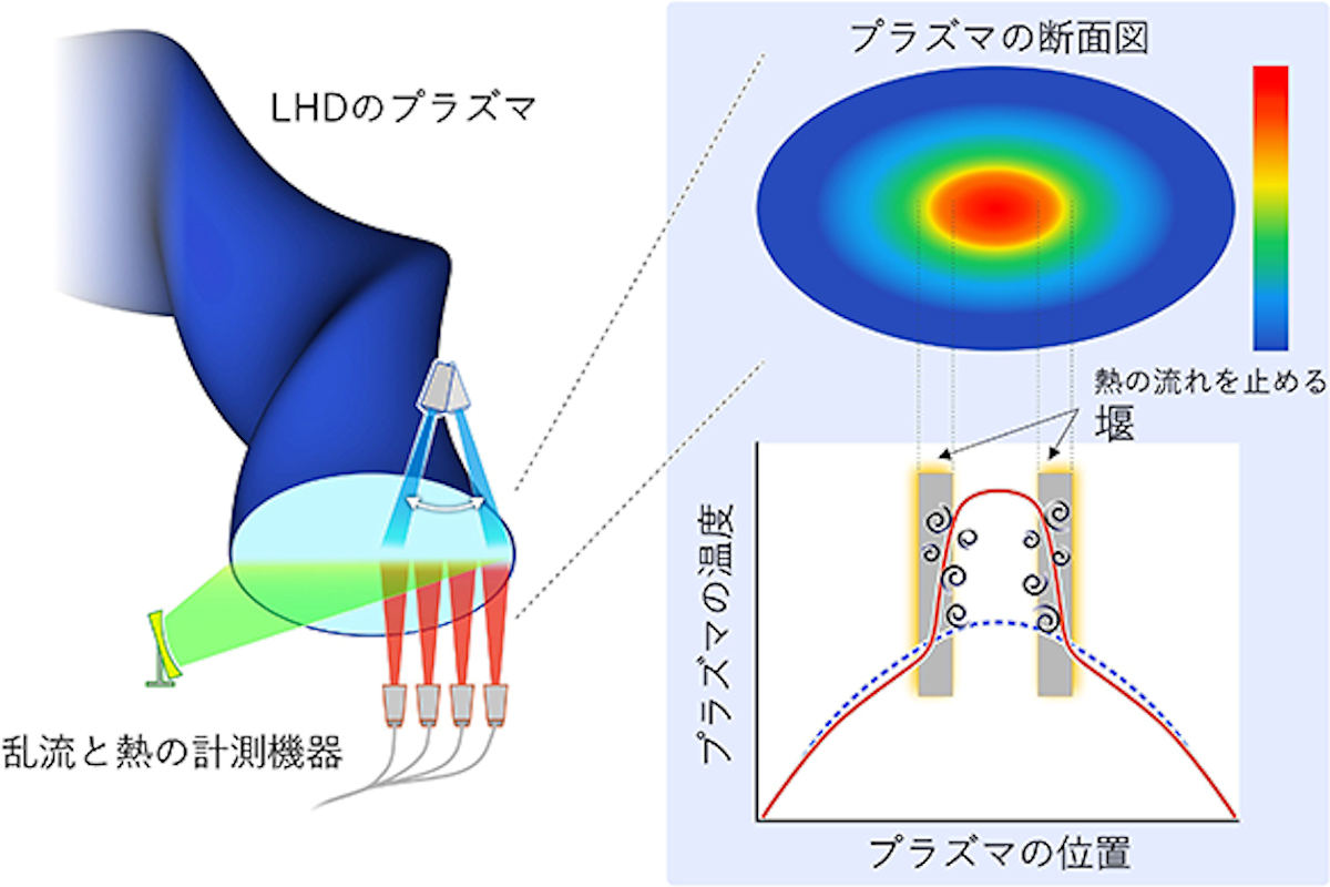 LHDプラズマの断面図