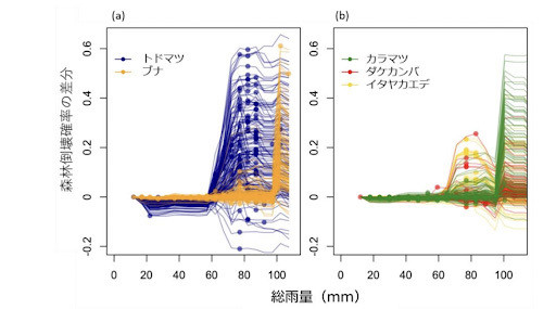 森林倒壊確率に対する優占樹種と総雨量の相互作用。説明変数の最小値での倒壊確率の期待値を0として各グリッドの倒壊確率の期待値を表現。●は観測値。プロットが密集しすぎるため300のグリッドを無作為にサンプリングして描いた