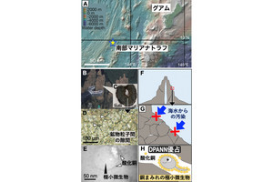 酸化銅ナノ粒子に包まれた始原的な極小微生物、深海底熱水噴出孔から東大などが発見