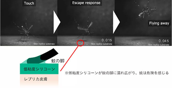 低粘度シリコーンオイルを塗布した表面に蚊がとどまらない様子