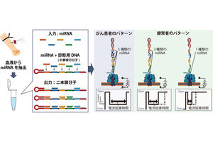 農工大、DNAコンピューティングとナノポア計測で胆管がんの識別に成功