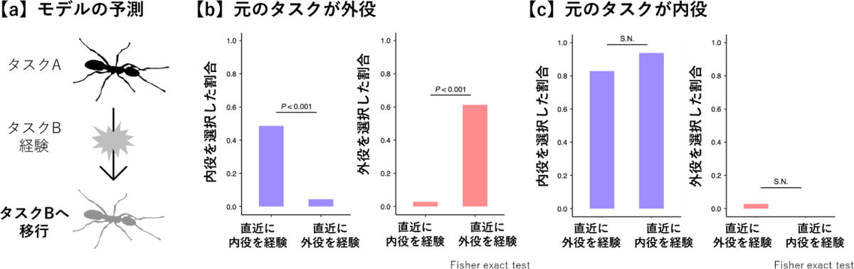 反応閾値強化モデルの予測と実際に直近の経験がタスク選択に与えた影響