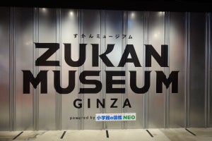 「ZUKAN MUSEUM GINZA」が開業一周年、新たな生き物と出会える第2章がスタート