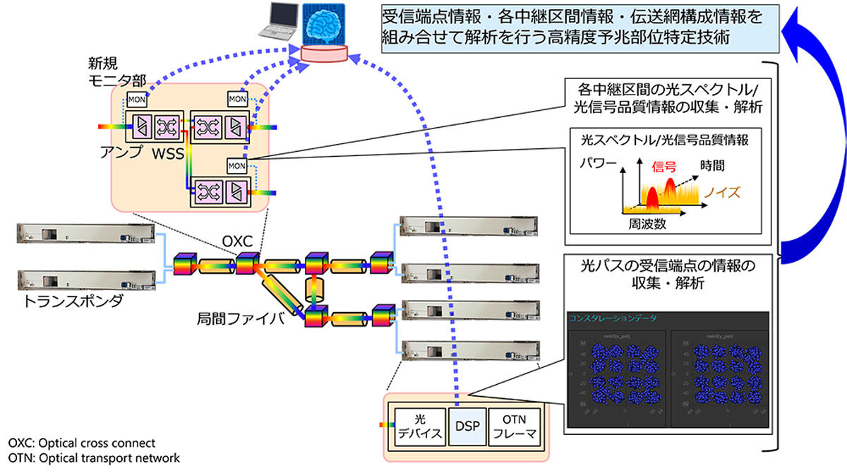 光信号特性情報利用による部位特定の概要図