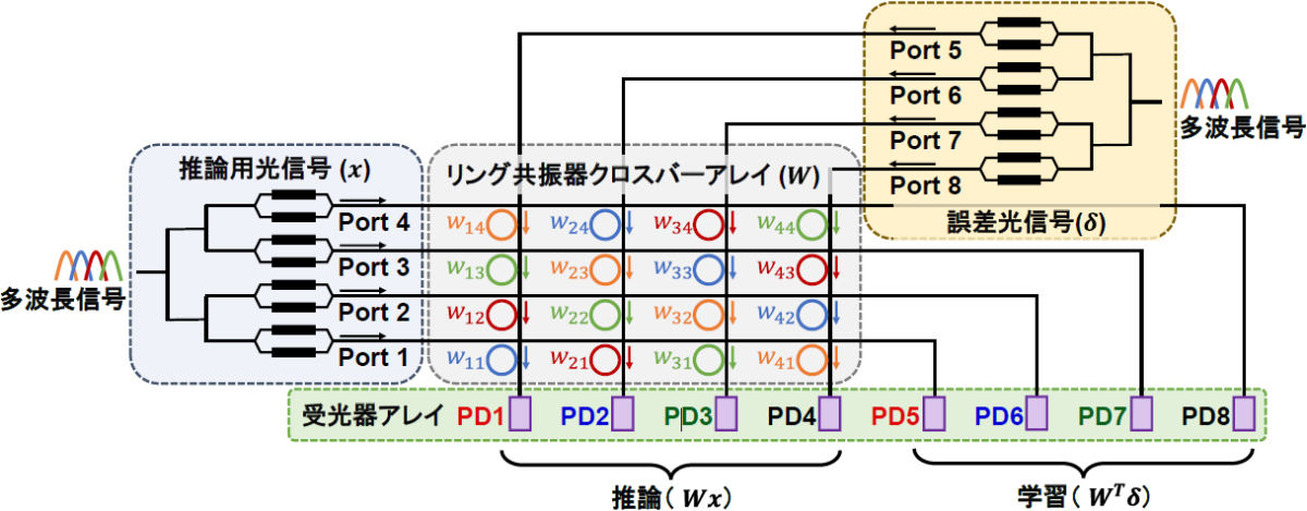 リング共振器をクロスバーアレイに配置した光回路を用いた深層学習アクセラレータの模式図