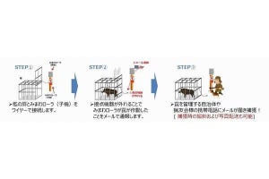 NTT東、酒田市と連携しICTを活用した鳥獣害捕獲効率化の実証実験