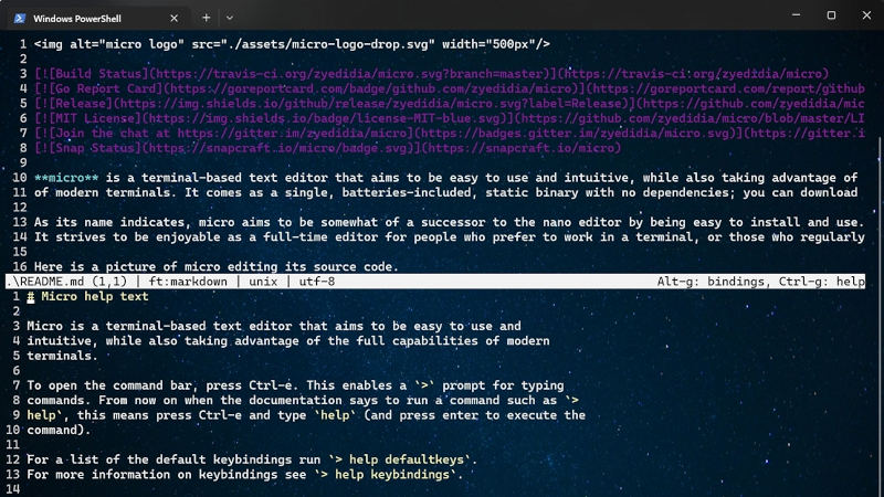 Windows PowerShell上のmicro バージョン2.0.11